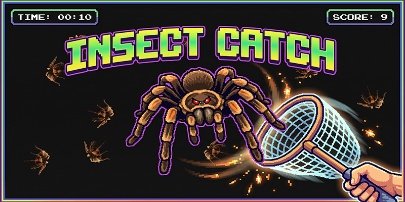Insect Catch cover